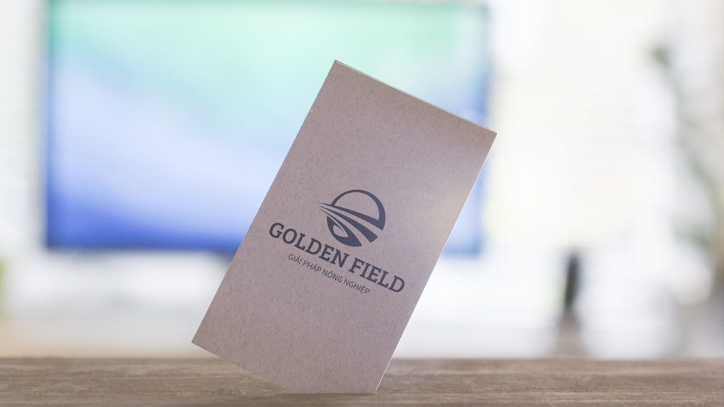 thiet-ke-logo-golden-field1