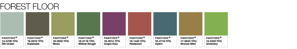 pantone-mau-cua-nam-2017-4