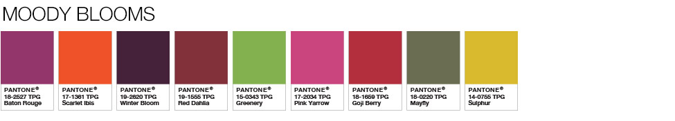 pantone-mau-cua-nam-2017-8