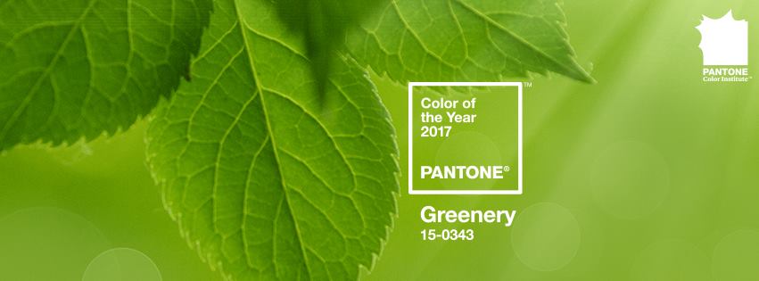 pantone-mau-cu%cc%89a-na%cc%86m-2017