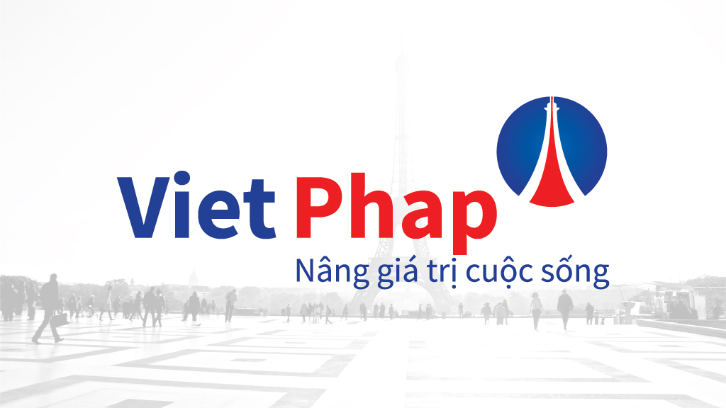 Thiet ke logo Viet phap 2