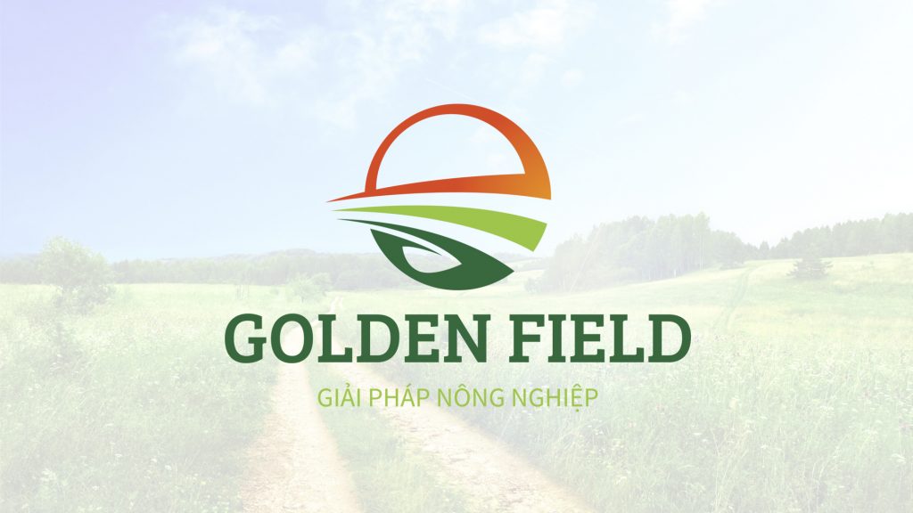 thiet-ke-logo-golden-field4