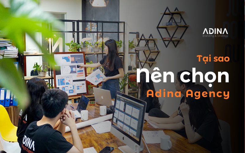 Tại sao nên chọn Adina Agency
