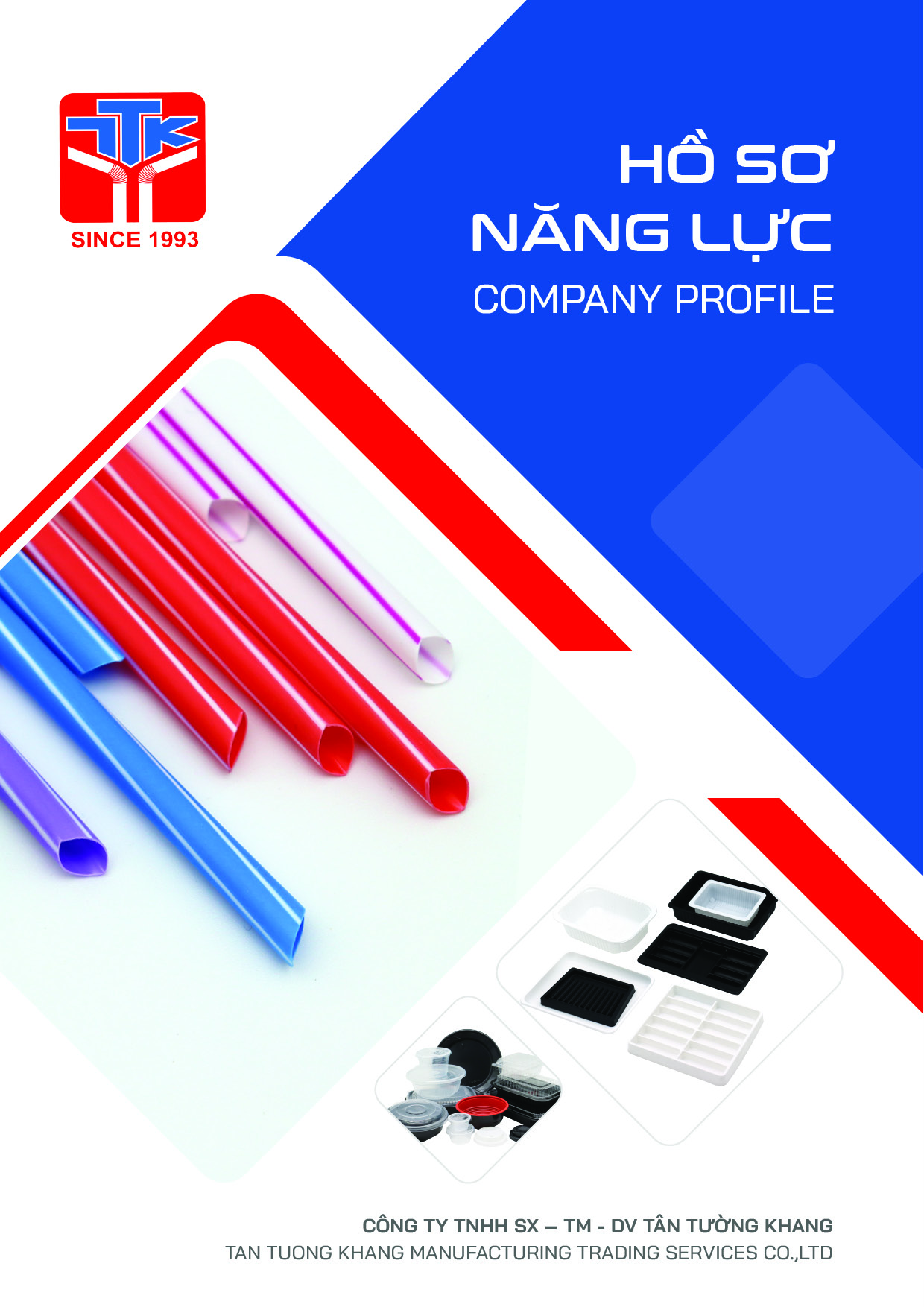 Mẫu hồ sơ năng lực do ADINA thực hiện