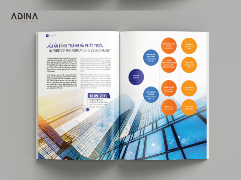 Tham khảo mẫu profile công ty ấn tượng của Adina