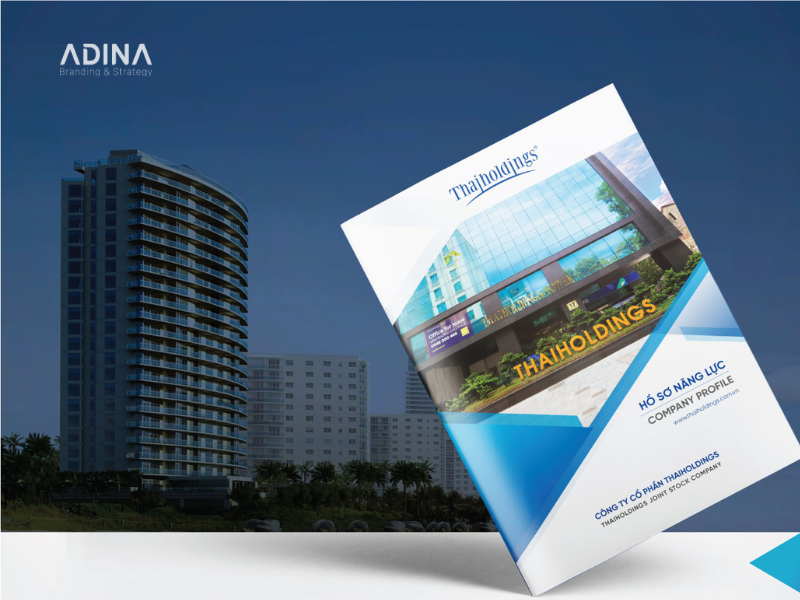 Mẫu profile công ty chuyên nghiệp 