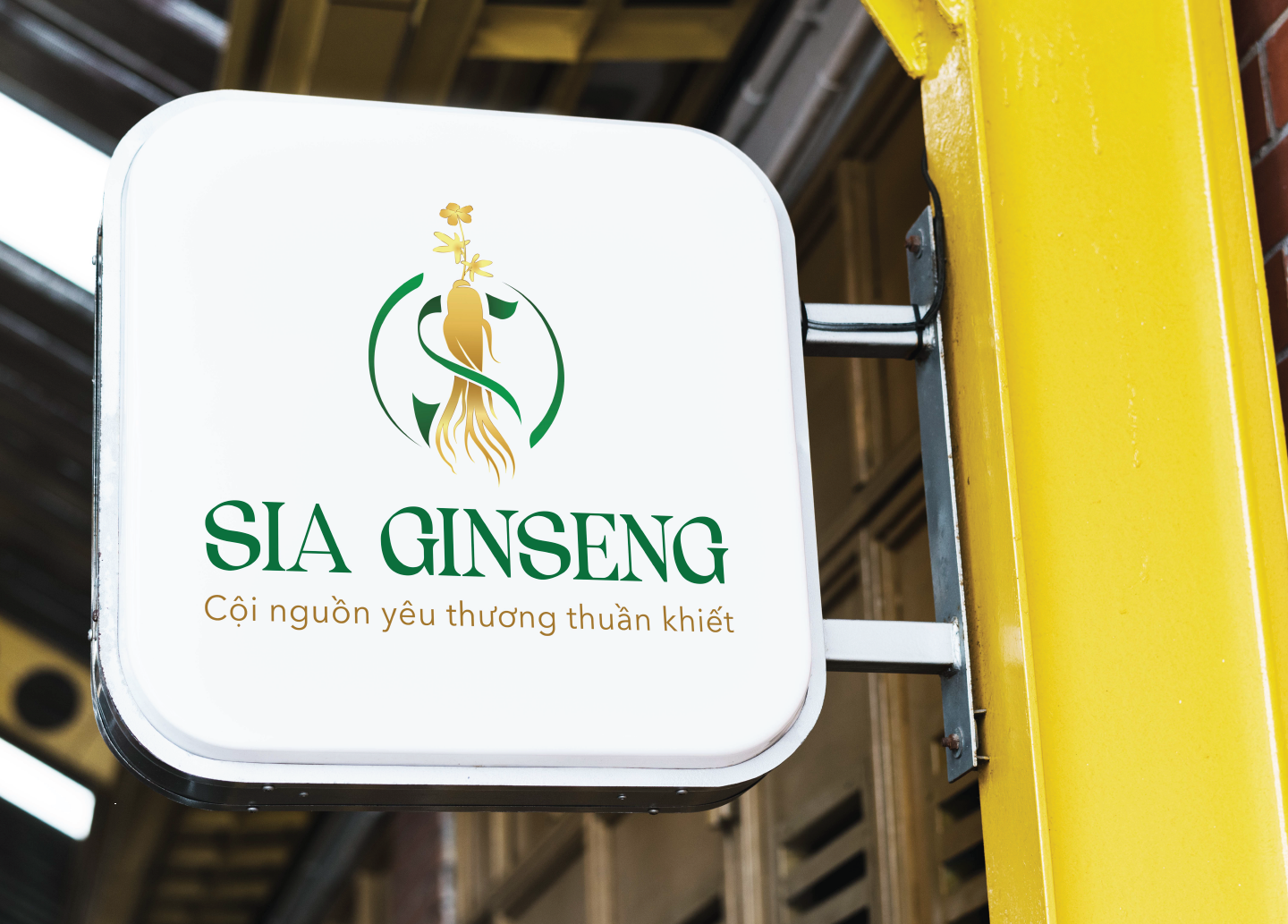Thiết kế logo dược phẩm Sia Ginseng (Adina)