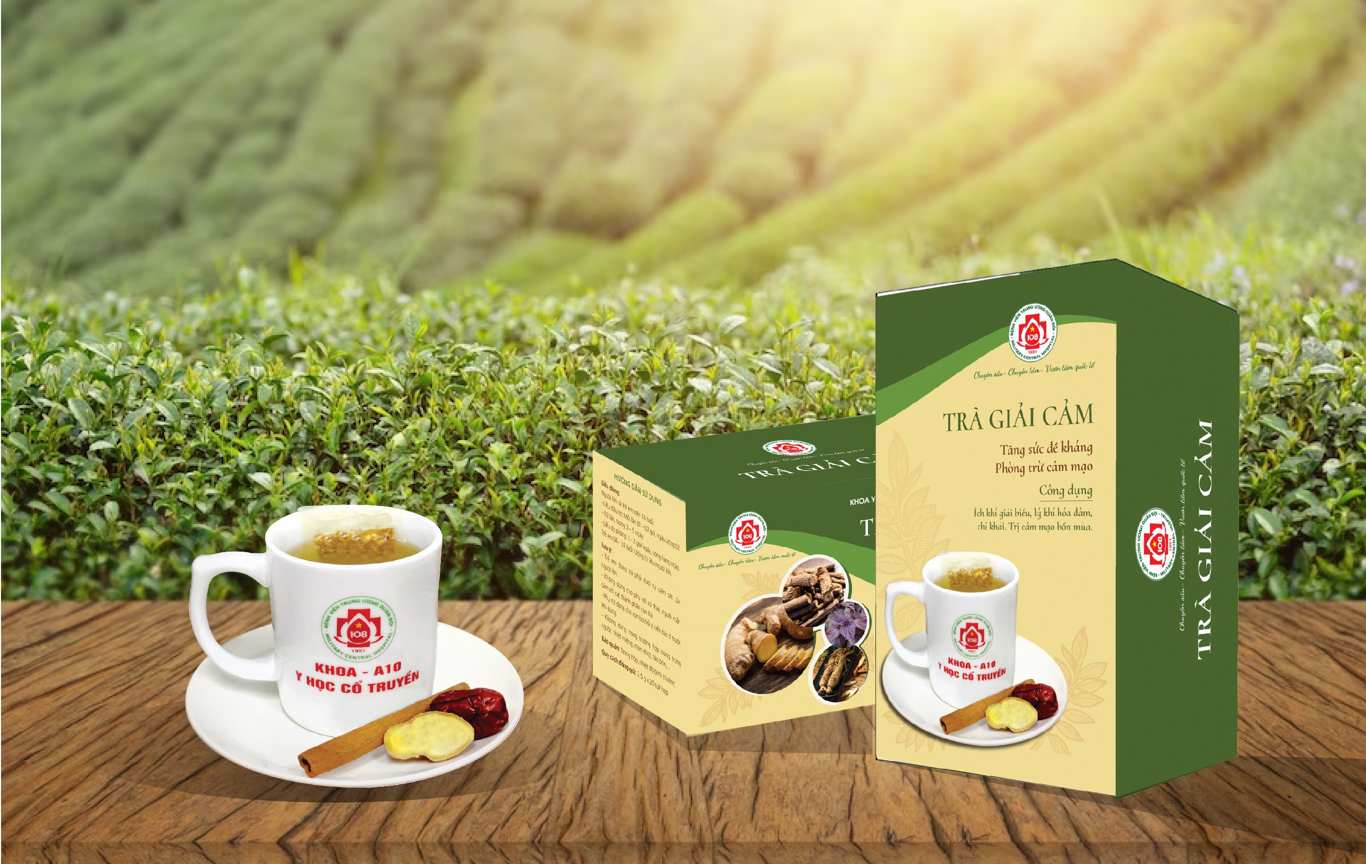Thiết kế bao bì trà giải cảm 