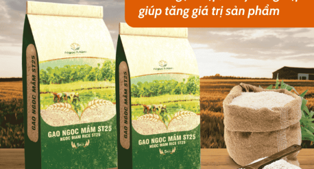 Bao bì gạo đẹp tăng giá trị sản phẩm