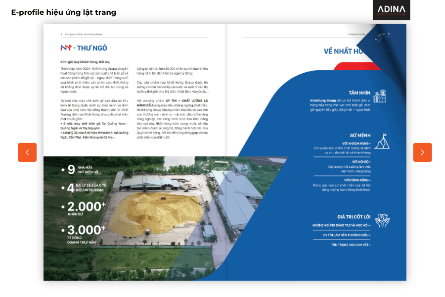e-profile hieu ung lat trang