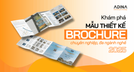 Mẫu thiết kế brochure đa ngành nghề