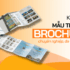 Mẫu thiết kế brochure đa ngành nghề