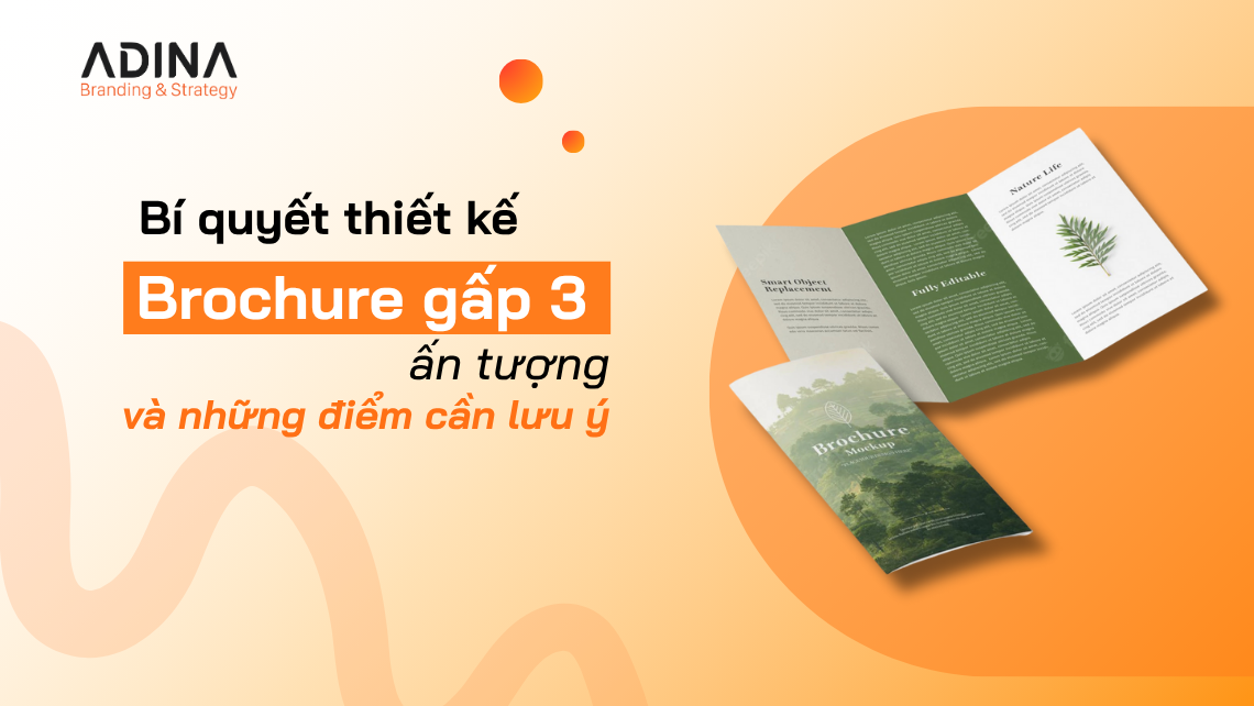 Bí quyết thiết kế brochure gấp 3 chuyên nghiệp