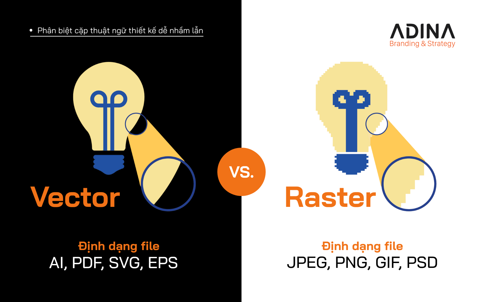 Phân biệt thuật ngữ thiết kế Vector vs Raster.