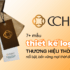 Mẫu thiết kế logo thương hiệu thời trang nổi bật, bền vững