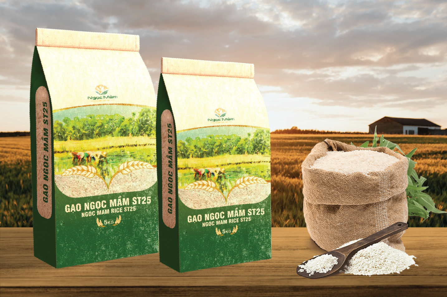 Bao bì nông sản tối ưu